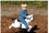 SportsPlay 361-501 Mustang Spring Rider