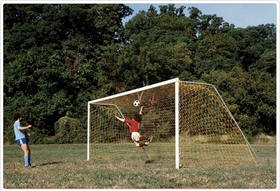 SportsPlay 561-501 Official Steel Soccer Goal (pair)