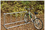 SportsPlay 801-175 Single Entry Bike Rack - Permanent, 5 ft