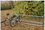SportsPlay 801-185 Double Entry Bike Rack - Permanent, 5 ft