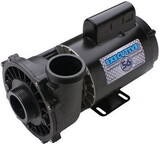 Waterway Plastics 3720821-1D 2.0 Hp 56Fr Executive Pump, 2