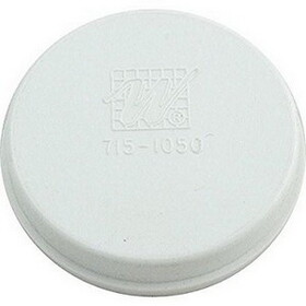 Waterway Plastics 715-9900 2 Plug for Waterways Filter Body