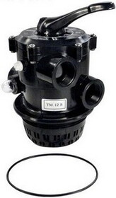 Praher Plastics TM-12-B Hayward Thread on 2" Multi Port Valve Tank #S160T (SP07121,