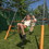 Sportspower MSC-5266 Jungle Warrior Gorilla Metal Swing Set