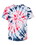 Custom Dyenomite 20BSC Youth Summer Camp T-Shirt