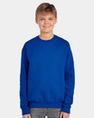 Jerzees 562BR NuBlend® Youth Crewneck Sweatshirt