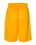 Russell Athletic 659AFM 9" Dri-Power&#174; Tricot Mesh Shorts