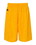 Russell Athletic 659AFM 9" Dri-Power&#174; Tricot Mesh Shorts