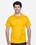Sport Athletic Gold