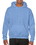 Carolina Blue