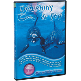 Rota-oreade Music Usa Dolphins and the Sea DVD