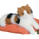 S&S Worldwide Plush Calico Cat, Price/each