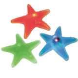 Playvisions Light-Up Starfish