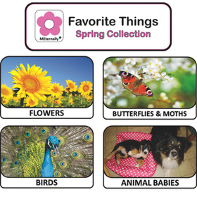 Favorite Things Spring Photos With Activity Cards
