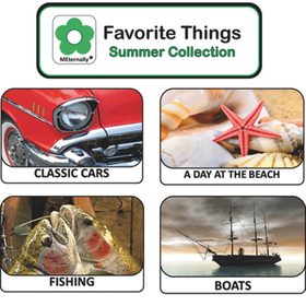 Favorite Things Summer Photos With Activity Cards