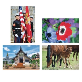 Thera-Jigsaw Foam Puzzles Set: Temple, Horses, Military, and Poppy