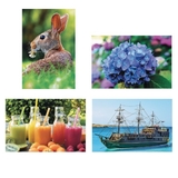 Thera-Jigsaw Foam Puzzles Set: Boat, Rabbit, Juice, and Hydrangea