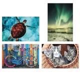 Thera-Jigstick Puzzle Set: Colorful Bike, Kittens, Northern Lights, and Sea Turtle