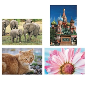 Thera-Jigstick Puzzle Set 4: Tabby Cat, Elephants, Moscow Temple, and Pink Daisy