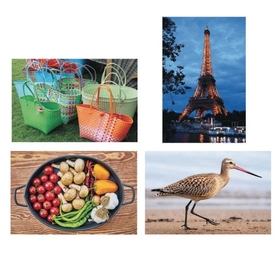 Thera-Jigstick Puzzle Set 5: Baskets, Beach Bird, Eiffel Tower, and Vegetables