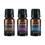 SpaRoom&#174; Essential Oils: Classic Pack (Pack of 3)