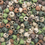 Beadery Camouflage Skull Beads, 1/4lb Bag, Price/Bag