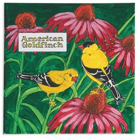 S&S Worldwide American Goldfinch Painting Craft Kit