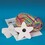 Star Pom Poms Craft Kit (Pack of 24), Price/24 /Pack