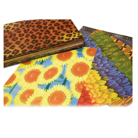 Roylco Patterned Paper Class Pack