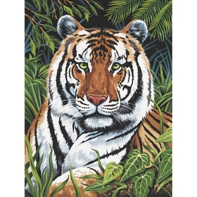 Tiger Paint By Number