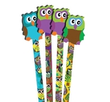 Musgrave Owl Pencils and Erasers (pack of 36)