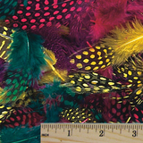 S&S Worldwide Spotted Feathers, 7g
