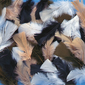 S&S Worldwide Natural Feathers, 14g