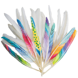 S&S Worldwide Long Quill Feathers, White