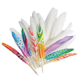 S&S Worldwide Duck Quill Feathers, White