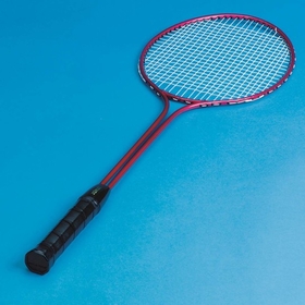 S&S Worldwide Double Shafted Badminton Racquet