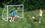 Mylec Indoor/Outdoor Soccer Goal - 72"W x 60"H x 48"D, Price/each