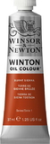 Winsor & Newton Winton Oil Color 37Ml