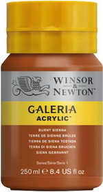 Winsor & Newton Galeria Acrylics 250Ml