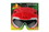 Sun-Staches SG2341 Power Rangers Red (**)