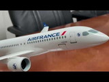 SKYMARKS Air France A220-300 1/100, SKR1095