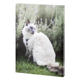 MUKA Personalised Photo to Canvas Print Wall Art with Your Pictures