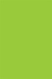 De Leone Labels, Rectangle Fluorescent Green - (Butt Cut), 3