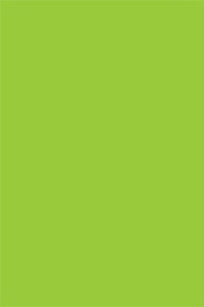 De Leone Labels, Rectangle Fluorescent Green - (Butt Cut), 3" x 10" (fluor. green)