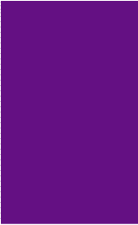 De Leone Labels, Rectangle Purple - (Butt Cut), 2" x 3&#188;" (purple) butt cut