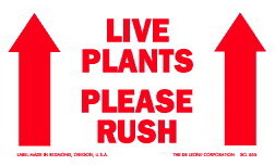 De Leone SCL555 Labels, Live Plants - Please Rush - (Double Up Arrows), 3" x 5"