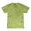 COLOR CRUSH TURTLE