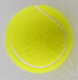 Clarke Promotional/Autograph Tennis Ball 5″