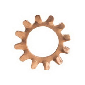 Fastenal 0171969 5/16" Silicon Bronze Tooth Lock Washer