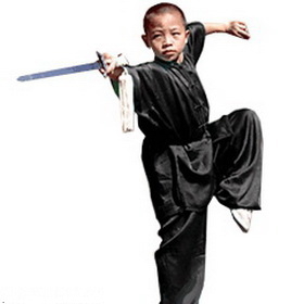 Tiger Claw Traditional Short Sleeve Kung Fu Uniform, 100% Silk